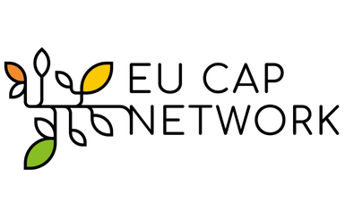 Logotyp narzędzia: Methodological Framework for Assessing the Impact of Social Innovation