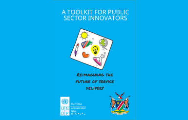 Logotyp narzędzia: A Toolkit for Public Sector Innovators: Reimagining the Future of Service Delivery